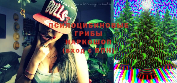 ешки Михайловск