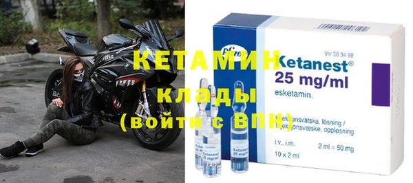 прущие грибы Михайловка