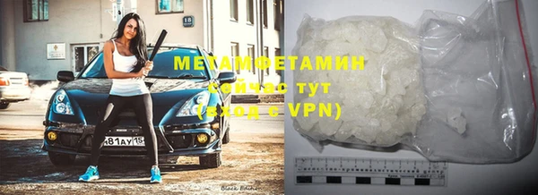 прущие грибы Михайловка