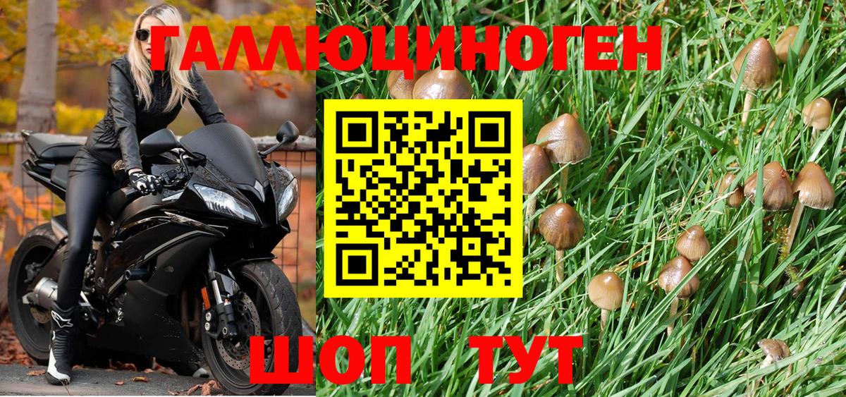 Галлюциногенные грибы Cubensis  где купить наркоту  Нефтекумск 