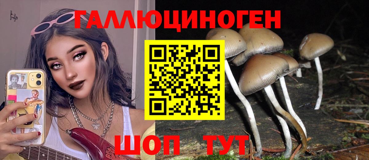 Псилоцибиновые грибы Psilocybine cubensis Нефтекумск