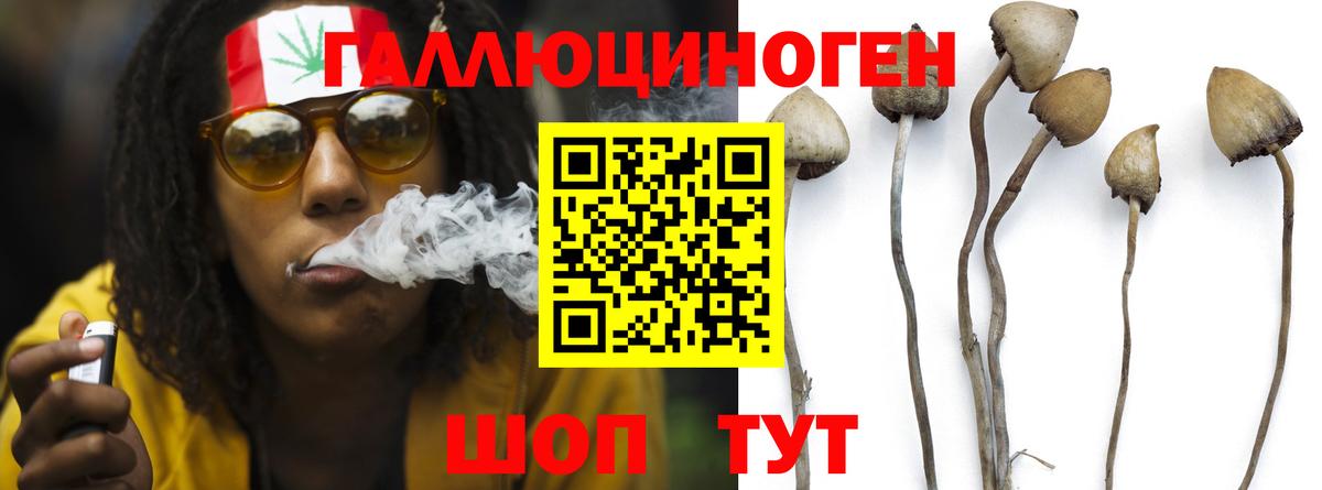 Нефтекумск  Псилоцибиновые грибы Cubensis  Вход с VPN 